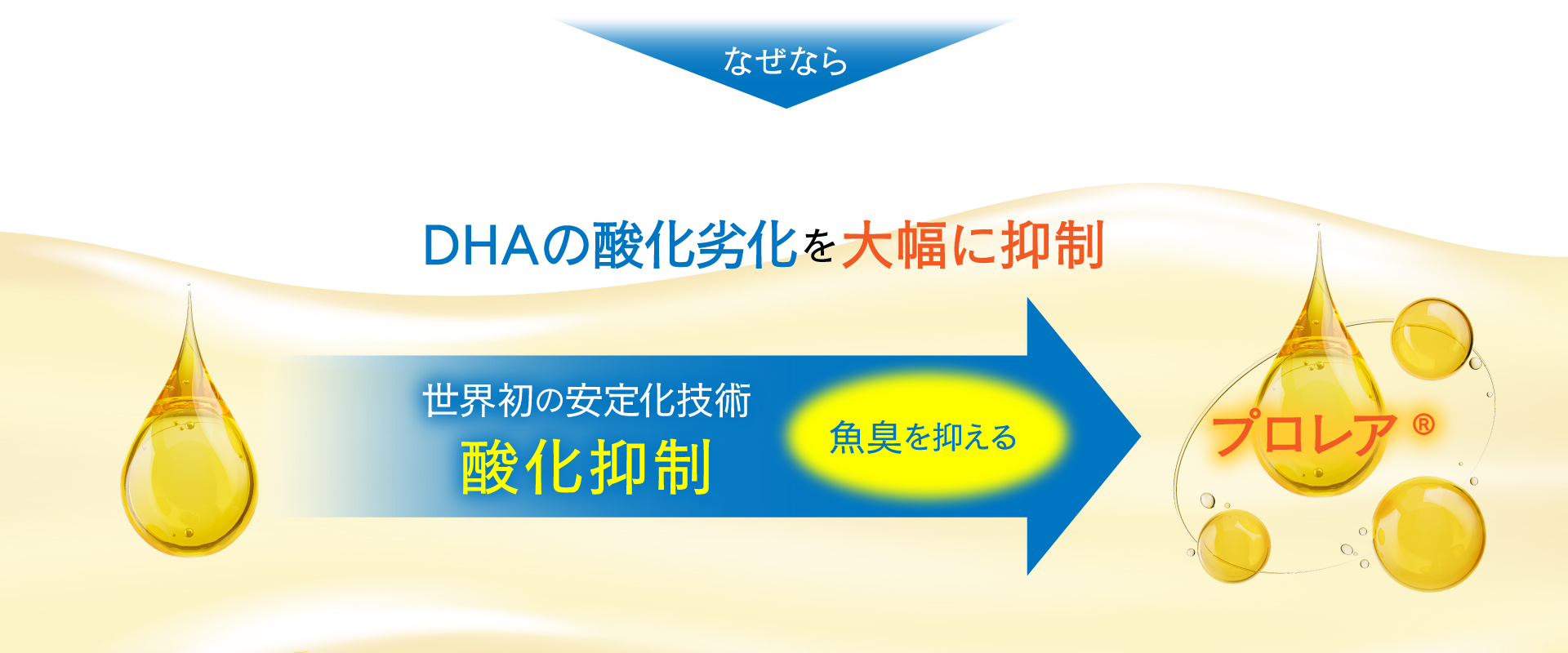 FST技術によりDHA・EPAの酸化劣化を大幅に抑制